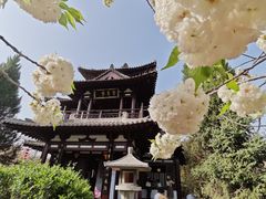 -上海青龙寺