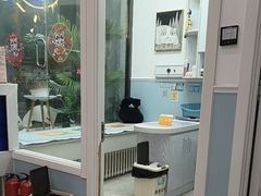 -纳吉亚猫专科动物医院·北北分院