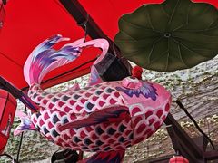-杭州宋城