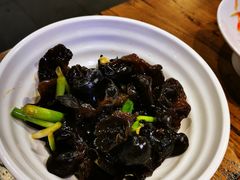 养生小木耳-老佛爷蛙锅•鲜蛙煲(麦凯乐店)