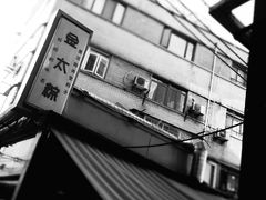 门面-金太粽(上海弄堂第一粽店)