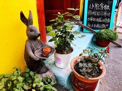 -春风十里咖啡馆