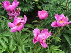 -长春公园(普阳街道)