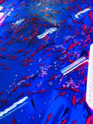 -孩子王童乐园(西安盛龙店)