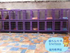 -瑞派·关忠动物医院·猫专科·犬专科(三环新城店)