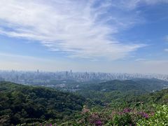 -点都德(广州白云山景区南门店)