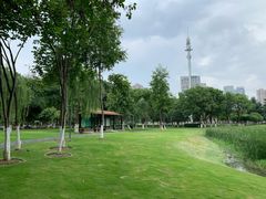 -后襄河公园