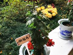 -杭州植物园