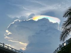 -演武大桥观景平台