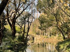 -上海醉白池公园