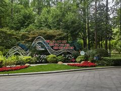 -徐家汇源景区-衡山公园