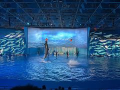 -海合安青岛极地海洋公园