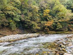 -黑河国家森林公园