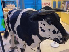 -红星前进面包牛奶公司(君太店)