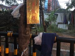 -马文章胖子甑糕(洒金桥店)