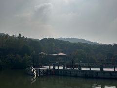 -白马涧龙池景区