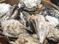 -汉森熊啤酒屋(双塘东路店)