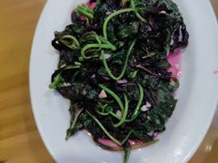 -9号小厨师(端平桥店)