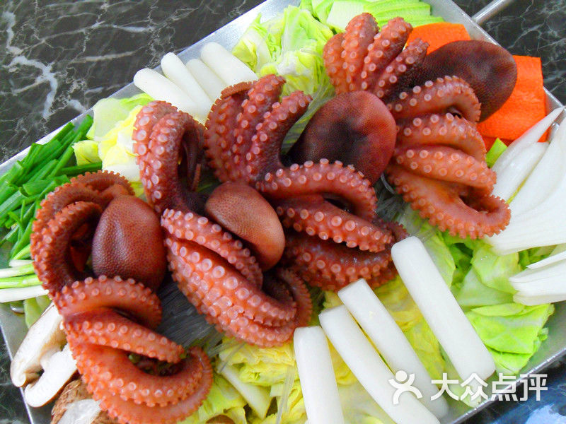 五六岛-铁板章鱼图片-上海美食-大众点评网