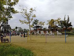 -上海长兴岛郊野公园