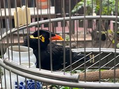 -正宗天津烧麦馆(柳州路店)