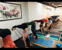 -兴亚瑜伽20年老馆