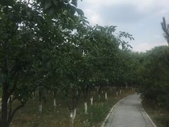 -东郊湿地公园