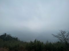 -四明山国家森林公园