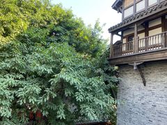 -重庆十八梯传统风貌区