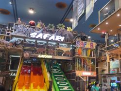 -卡通尼·Safari非洲探索乐园·生日会(金桥国际商业广场店)