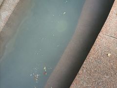 -南宫温泉水世界