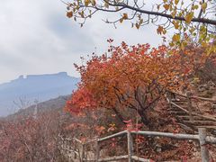 -周口店坡峰岭风景区