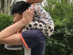 -河北省园博园