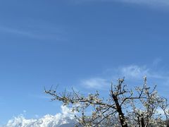 -萝卜寨羌文化生态旅游区