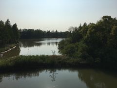-上海海湾国家森林公园