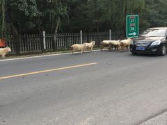 -十三陵山水雅园农家院