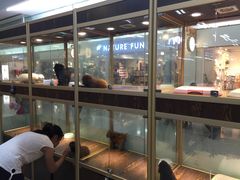 -乐宠宠物店(世纪金源店)