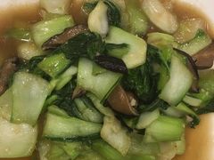 -熊猫川菜馆 panda chine