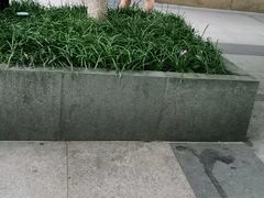-巴黎春天(浦建店)