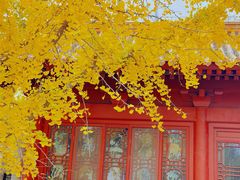 -元大都城垣遗址公园