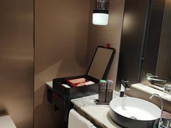 -新加坡瑞士史丹福酒店