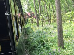 -合肥滨湖国家森林公园