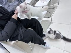 -怪兽屋·羊驼·猫咖·狗咖(俊华广场店)