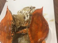 -今鲜源大酒店·中华餐饮名店(新湛路店)