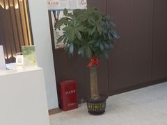 -海小听躺式采耳SPA馆(民族大道店)