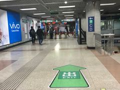 -大望路(地铁站)