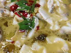 -陈生记黑鱼馆·20年活鱼现杀(宁波鼓楼店)