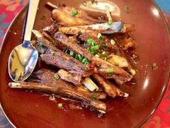 -松赞拉萨林卡酒店