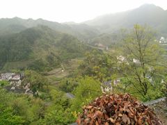-灵山景区梯田