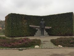 -美人鱼